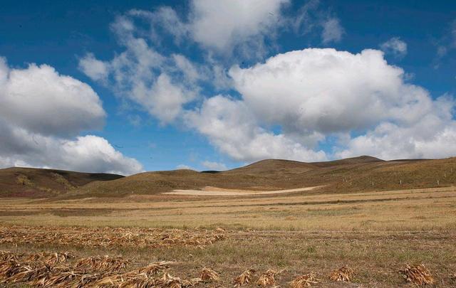 “宜居城市”10强：厦门不如三亚，大连高居第3，西安承德没上榜