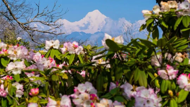 手头的事放一放，我要去雅安过五一了