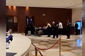 十 问 野 猪 “ 肇 事 ”图片