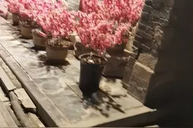 女人说不要再联系了，真的不要再联系了吗？图片