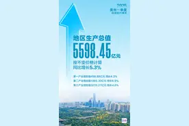 图说丨GDP同比增长5.3%！2025贵州一季度经济运行情况发布图片