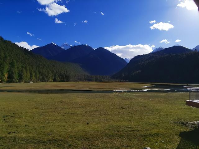 《荒野猎人》同款森林？波密杉林不输加拿大，为何国人很少知道！