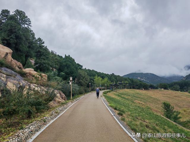 泰安：一场秋雨后，在虎山步道遇见了泰城最静的秋，而心则更静