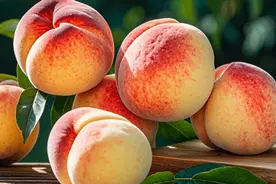 桃子不能随便吃？提醒：这5种人尽量少吃，好多人不知道，吃桃子也有禁忌！图片