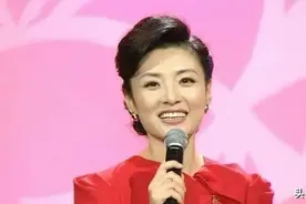 离开央视的4位主持人现状：王小丫患病发福，周涛成为公司董事长图片