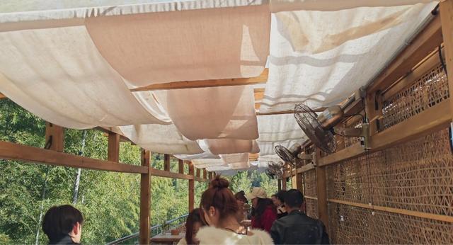 郁郁银杏无非般若，青青溪石尽是法身：宜春南惹古村印象（聂朋