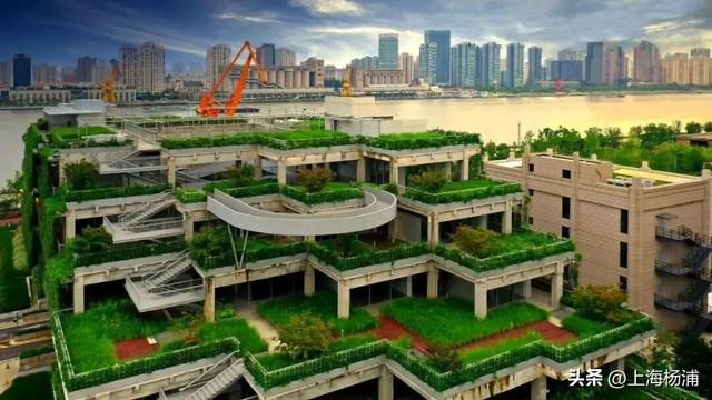 杨浦这些景点“限时优惠”，你去过几家？