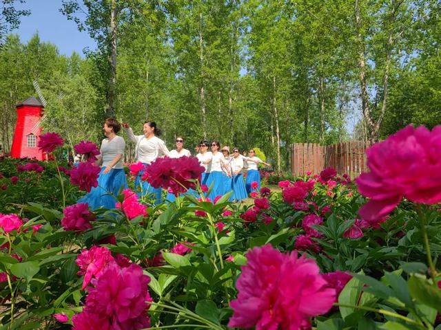 龙井：文化“活水”润边城 旅游“旺火”暖经济