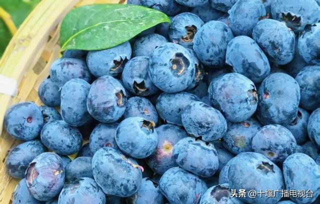 速看！郧阳夏日采摘指南出炉