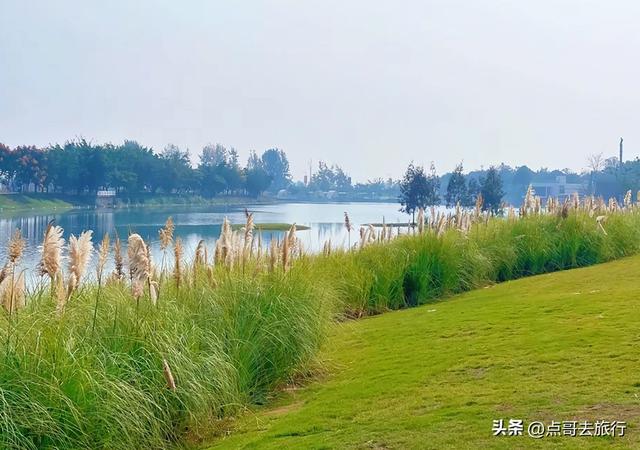 成都超级冷门公园，成都西湖，不要门票，仙境美如泸沽湖！