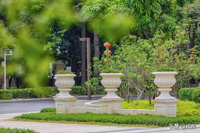 房企不炒房改卖玉？玉器城变直播基地，2.4亿战绩太疯狂！