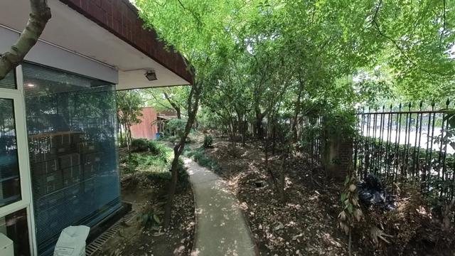 典藏上海，向新而生！上海市城市建设档案馆打开围墙，与市民共享单位附属绿地空间