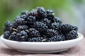 一粒桑葚五味药？揭秘桑葚5个特点、5大药用功效，这些人别乱吃图片