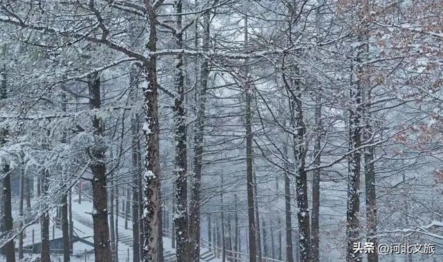 美到犯规！白石山迎来今冬第一场雪