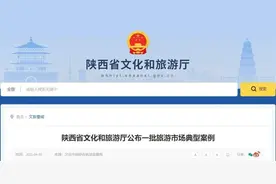 多名导游被处罚！陕西最新通报图片