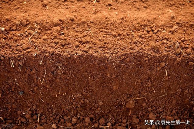 “上午小寒是暖冬，下午小寒冻死牛”，今年小寒几点？有啥说法？