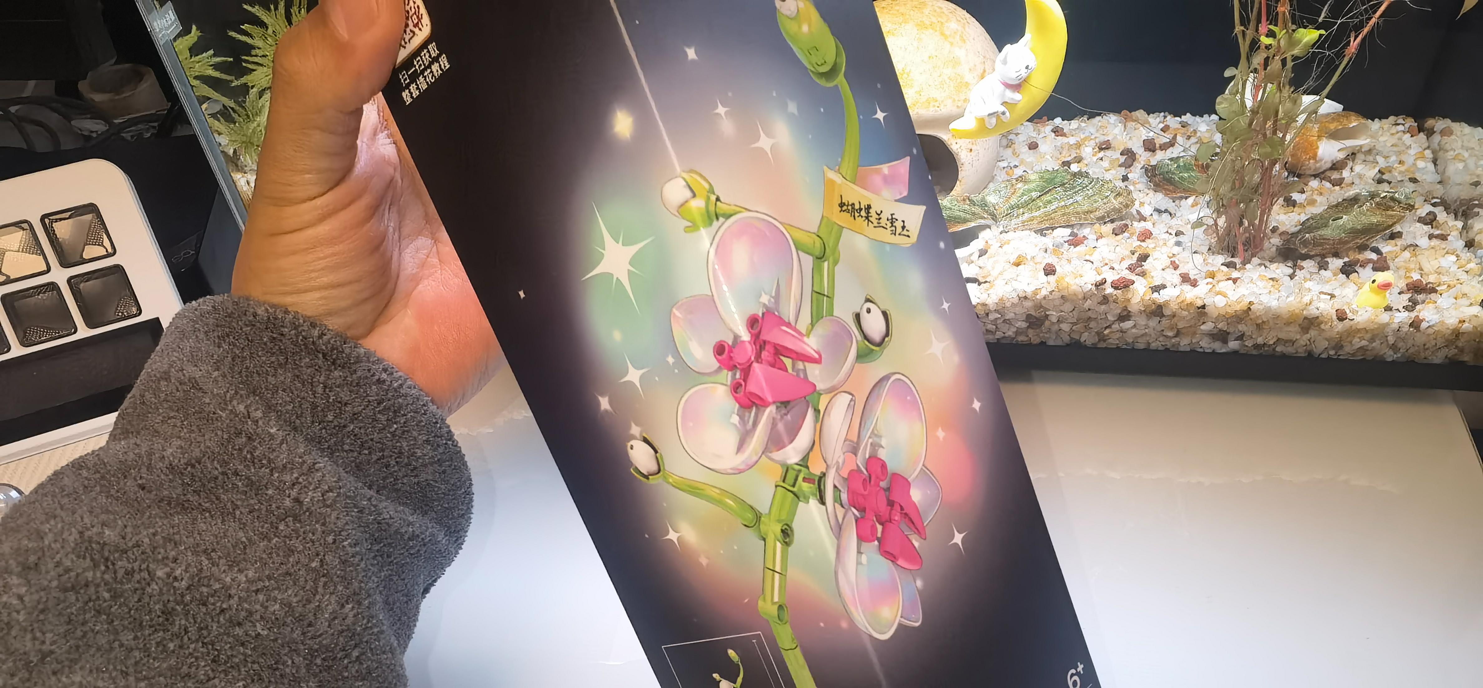 沃马积木永生花,全家参与永不凋谢!