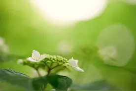 孩子厌学，一到学校就紧张和各种不适，是太在乎结果导致心理恐惧图片
