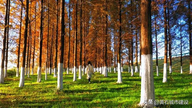 拍照绝美!就在黄石这里 快去打卡吧!