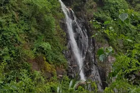 庐山旅游攻略（山下环线局部）图片