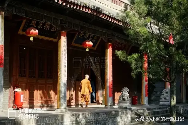 老西安私藏的赏秋秘境，免费、人少、秋色绝美！