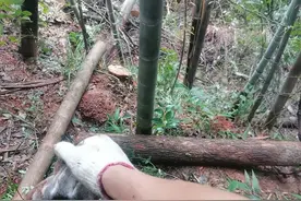 辛苦学的水电，如今面临失业，是努力不够？还是行业落幕？图片