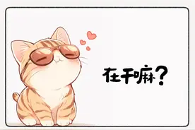 当异性问你在干嘛，这样回乐死他图片