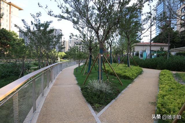 实拍江苏苏州昆山花桥梅浦河海绵城市公园，“会呼吸”的绿地