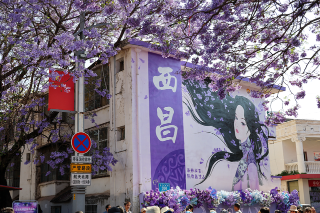 全城“追花”！航天北路开启“人从众”模式