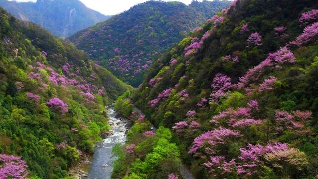 广元不远 周末优选｜不如见一面，顺便玩一圈！清明假期带你玩转唐家河