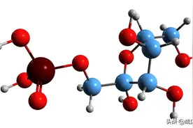 知己知彼，百战不殆！糖友须知~葡萄糖是如何代谢的？图片