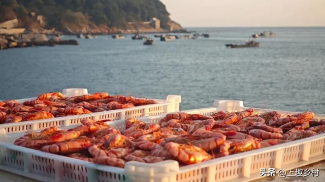 五一“逃跑”计划:去乡村,见天地!