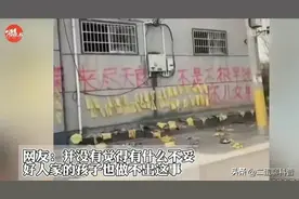 邯郸初中生被害案震惊社会，嫌疑人家境曝光，进展牵动人心。图片