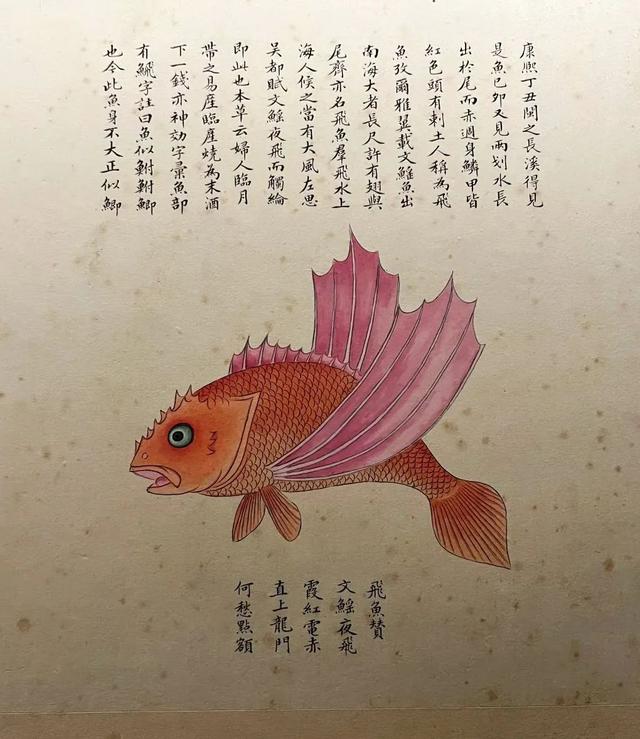 这画，真实又让人脑洞大开！