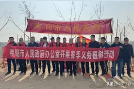 南阳市人民政府办办公室：开展春季义务植树活动图片