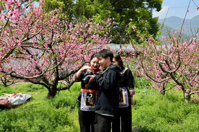 福建宁德第十五届福安市穆云畲乡桃花文化旅游季启动