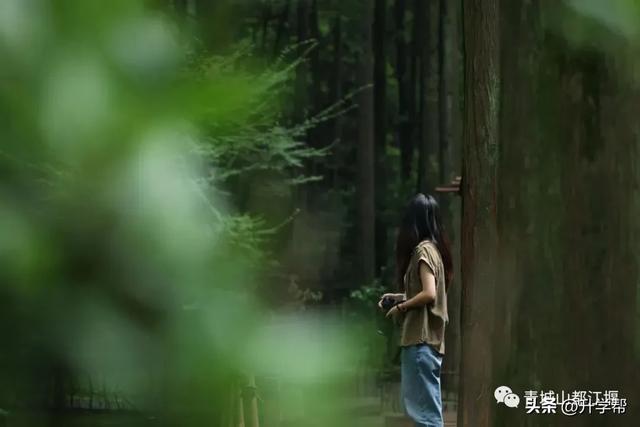 来成都务必要留一天时间给都江堰!