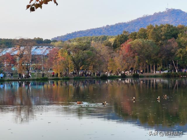 初冬‖钟山前湖月牙堤的日落，美的人移不开眼，停不下手拍摄！