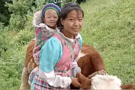 网红小英塌房了：什么都是假的，只有小英家的牛受的苦是真的。图片