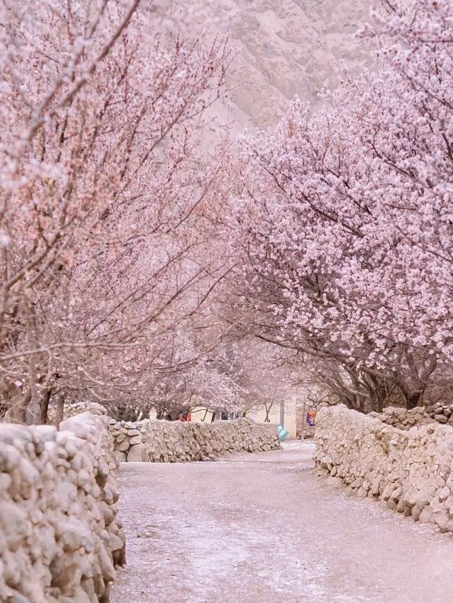 清明假期去哪玩？这10条线路快来抄作业