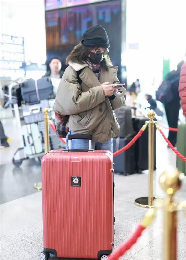 落毛凤凰不如鸡！49岁赵薇再曝近况，全身包裹严实 不敢露脸怕见人