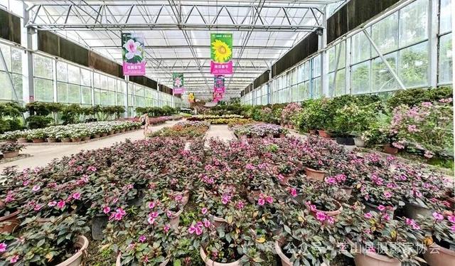 李永辉：寻芳“花舞人间”