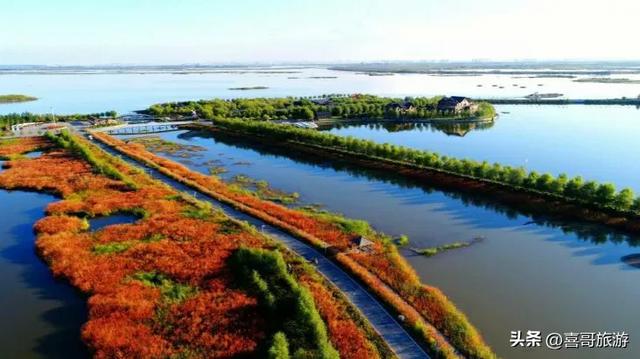松花江畔的绿宝石：呼兰河口湿地漫记