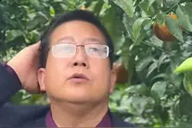 笑死人！“广西文旅橘”orange橘长拍沃柑宣传片，看呆网友！图片