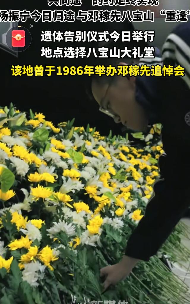 跨越37年的“共同途”扬振宁与邓稼先的约定，在八宝山终圆满
