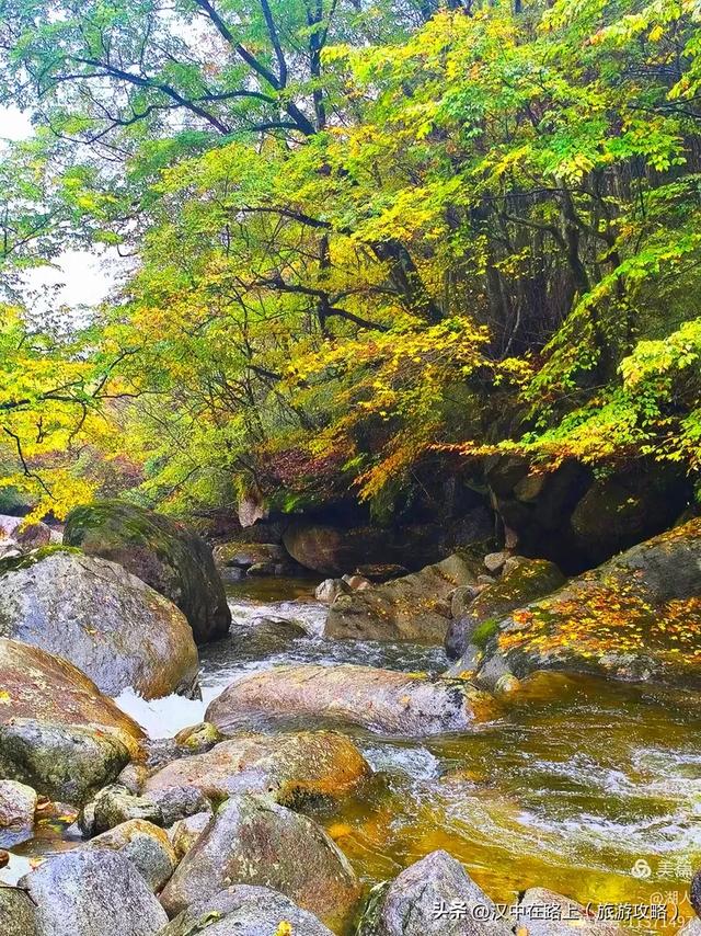 秋雨中的云雾山