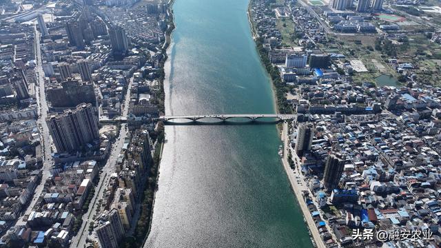 广西融安：冬日融江生态美