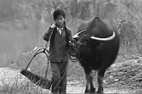 悍匪陶耀标，强抢放牛女娃做压寨夫人，败露后藏身山洞17年图片