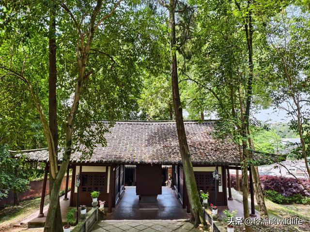 成都徒步（64）·新津篇③观音寺