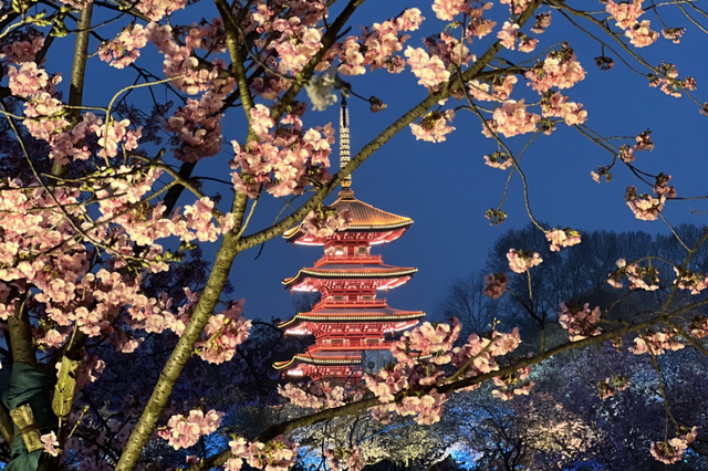 复兴号驶入花海，这条高铁沿线的美景藏不住了！